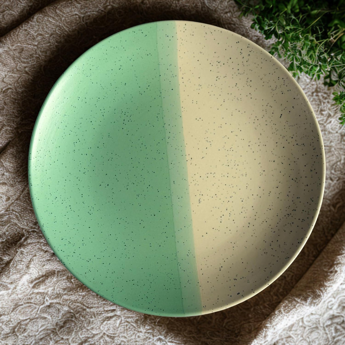 Freakway Set of 1 Modern Ceramic Dinner 10.6'' Speckled Stoneware Plates